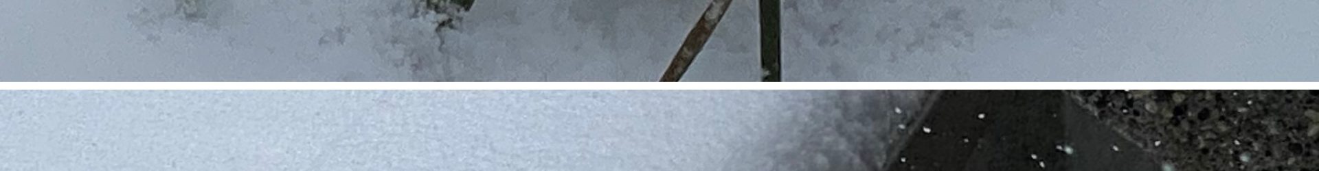 Capturing and shaping snow