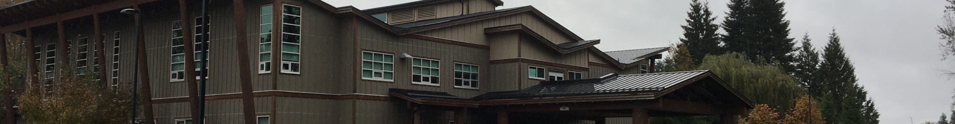 Sensory photo – RAIN