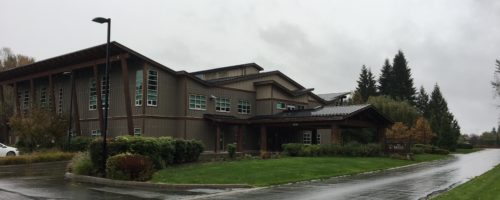 Sensory photo – RAIN