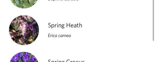 Seek (by iNaturalist)