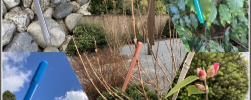 Rainbow Sticks – Jenn